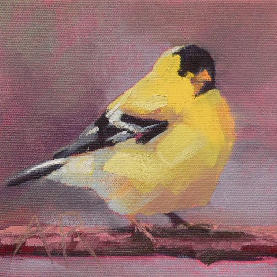 Andrea Ross Algonquin Art Centre A Canadian Art Gallery in Algonquin Park