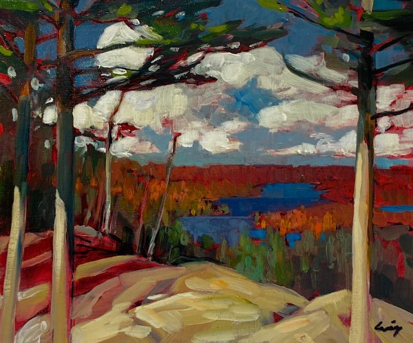 Algonquin Lookout