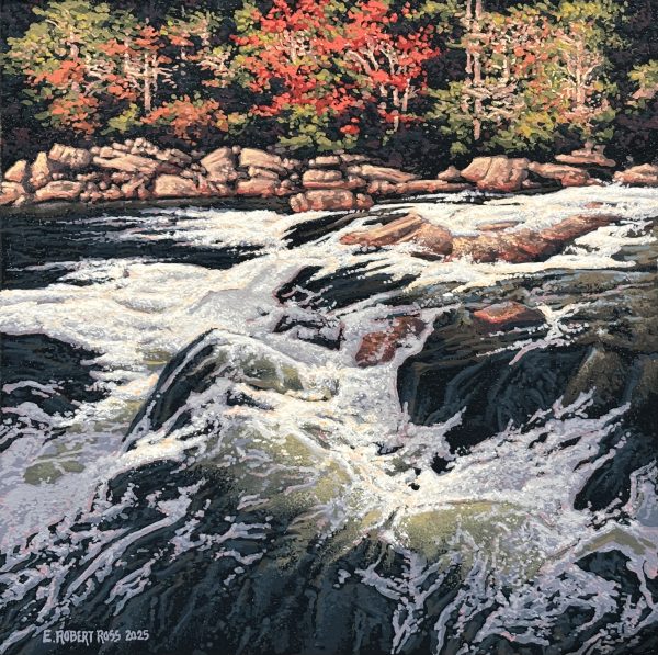 Rapids, Oxtongue River, Algonquin