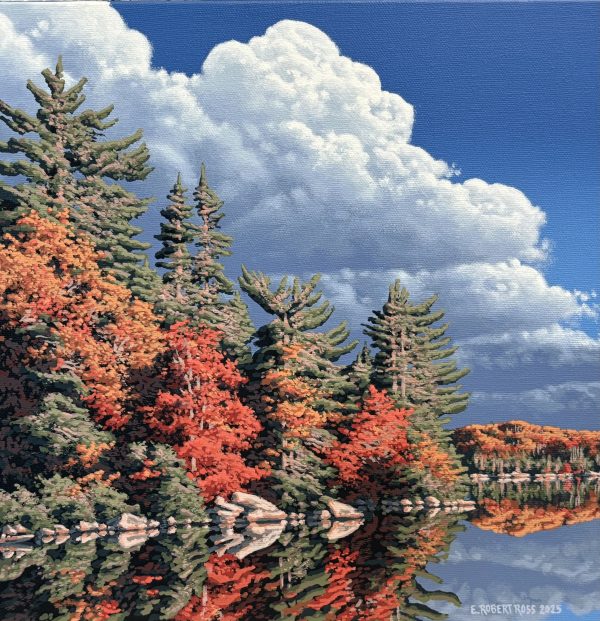 Shoreline, Rock Lake