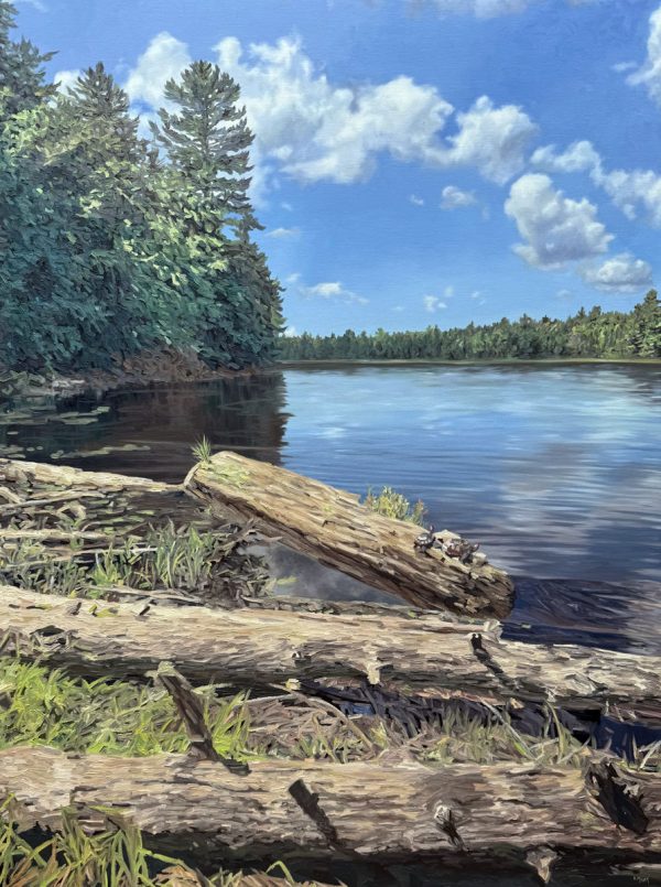 An Algonquin Summers Day
