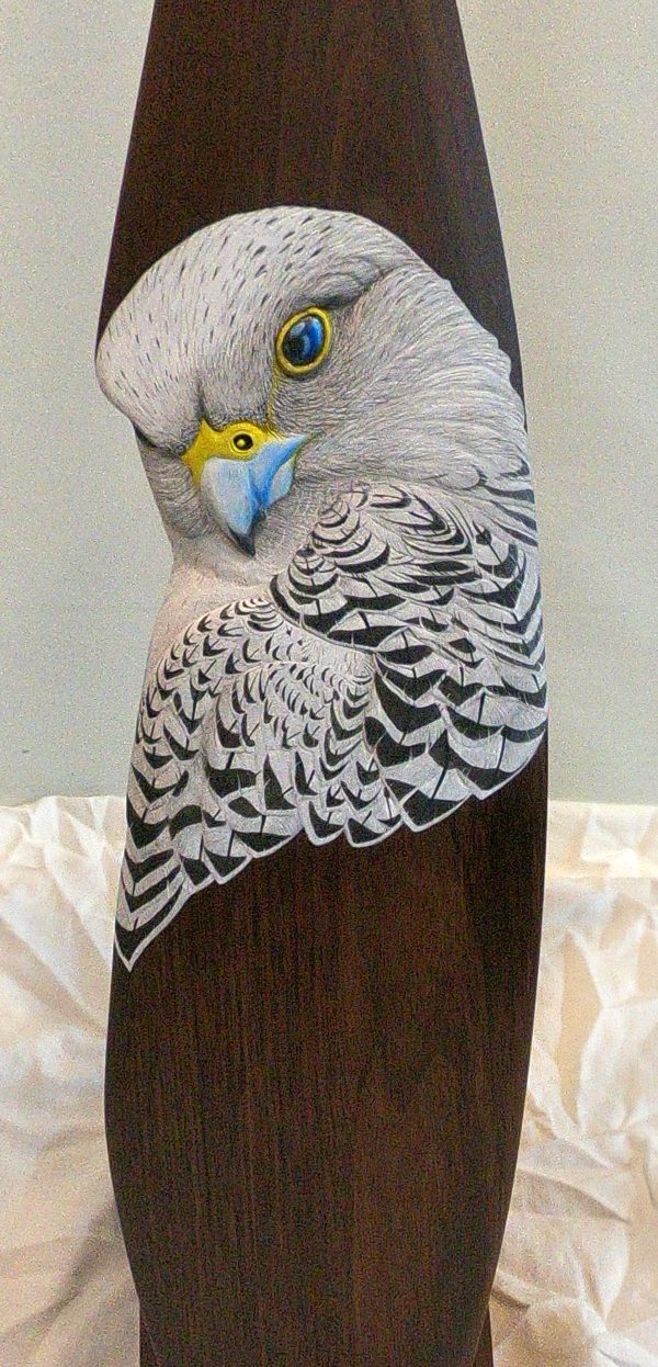 Gyrfalcon Walnut Paddle