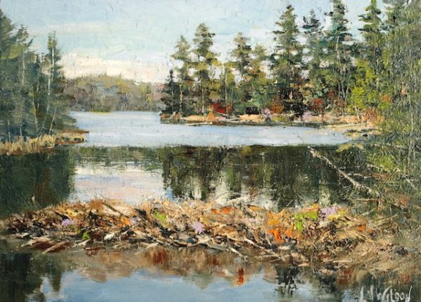 Beaver Dam Mizzy Lake