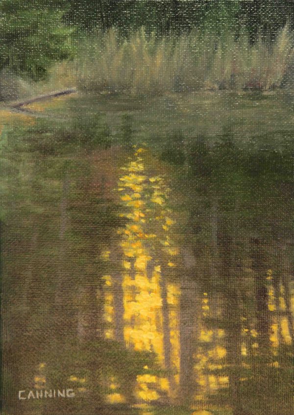 Reflections on a Pond