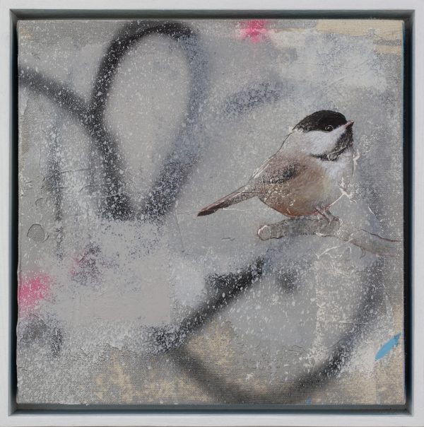 Concrete Bird 50