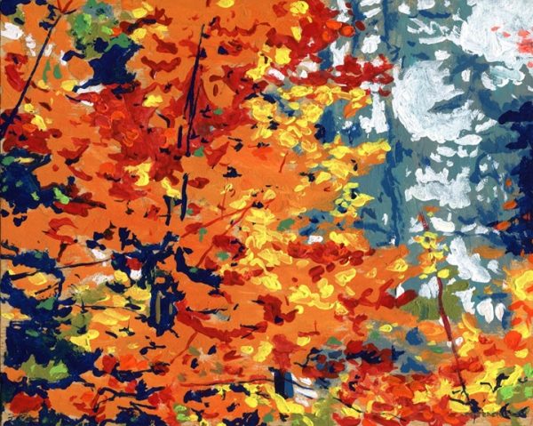 Maple Leaves