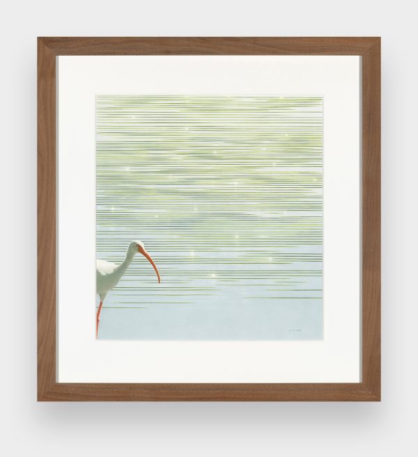 Water Music - Image 2