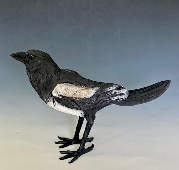 Curious Magpie