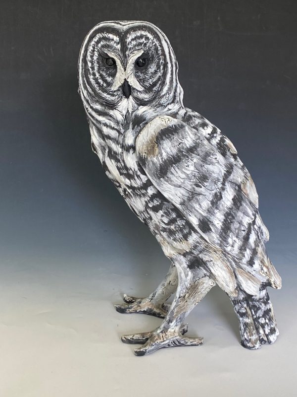 Grey Owl