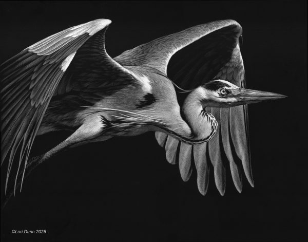 Wingin' It