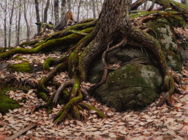 Boulder Hugger