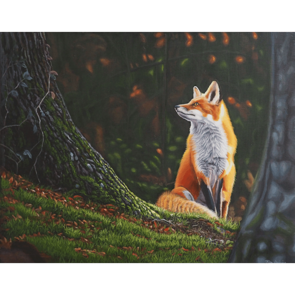 A Glimpse of Solitude