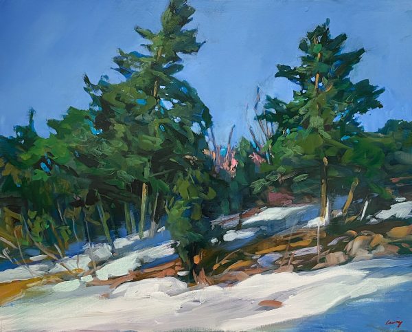 Winter Shore