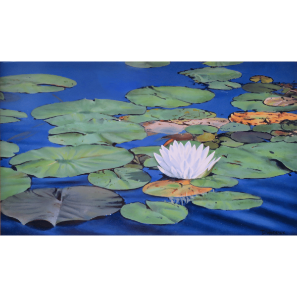 Waterlily