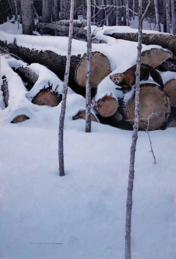 Cold Trail