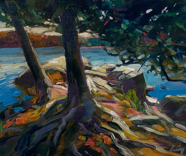 Lakeside Lookout