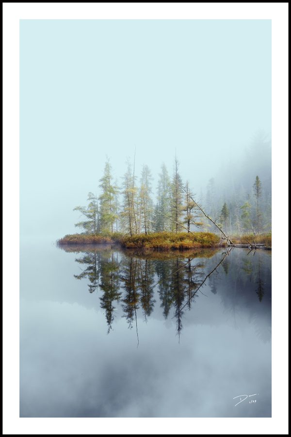 Ghost Pines LTD004
