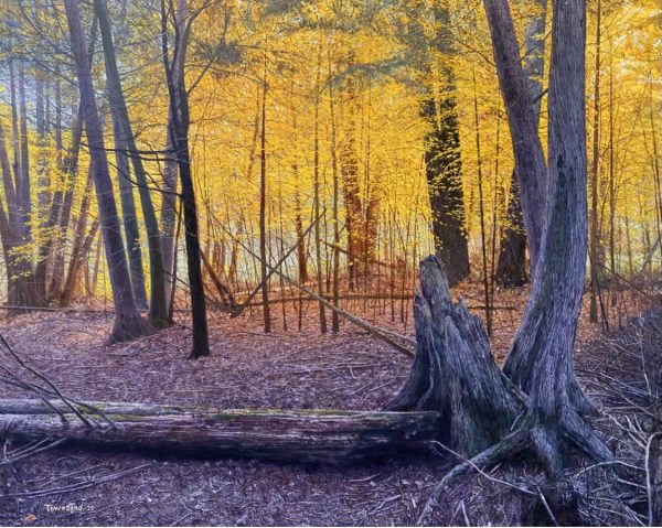 Autumns Glow