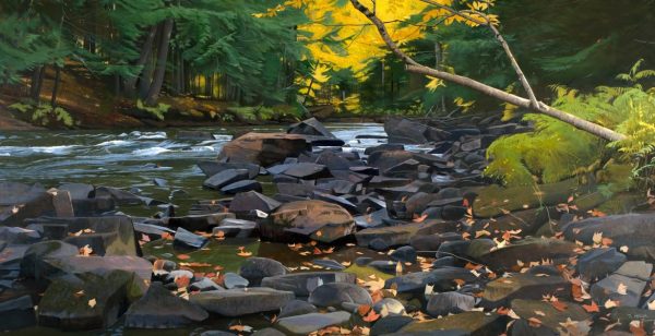Upstream from the Falls