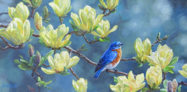 Spring Beauty