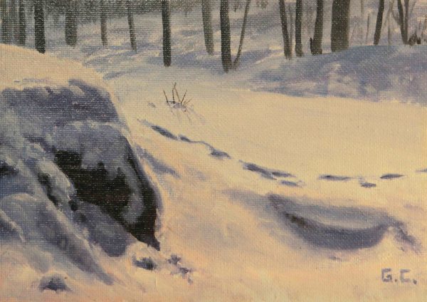 Tracks in the Snow