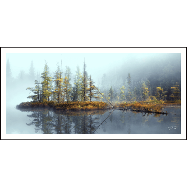 Ghost Pines LTD012