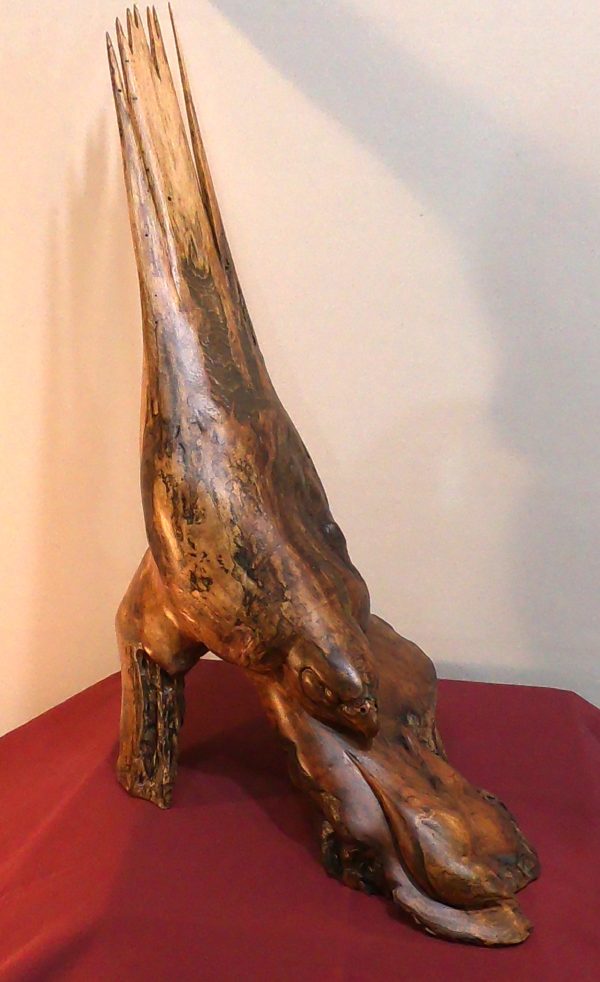 Winged Lightning - Image 3